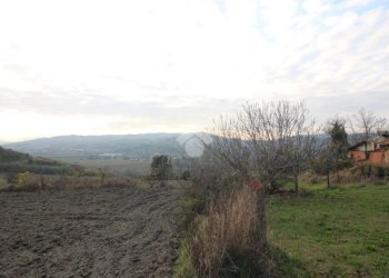 Agricultural land Via Candiano, Cesena - photo 4