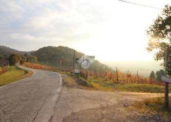 Agricultural land Via Candiano, Cesena - photo 5