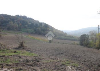 Agricultural land Via Candiano, Cesena - photo 6