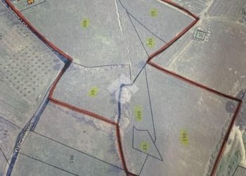 Agricultural land Via Candiano, Cesena - photo 8