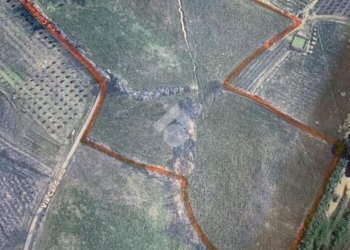 Agricultural land Via Candiano, Cesena - photo 9