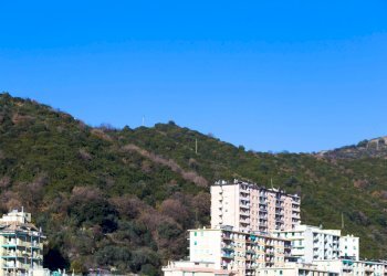 Foto 44 - Appartamento Via Giulio Tanini
 
13, Genova - foto 41