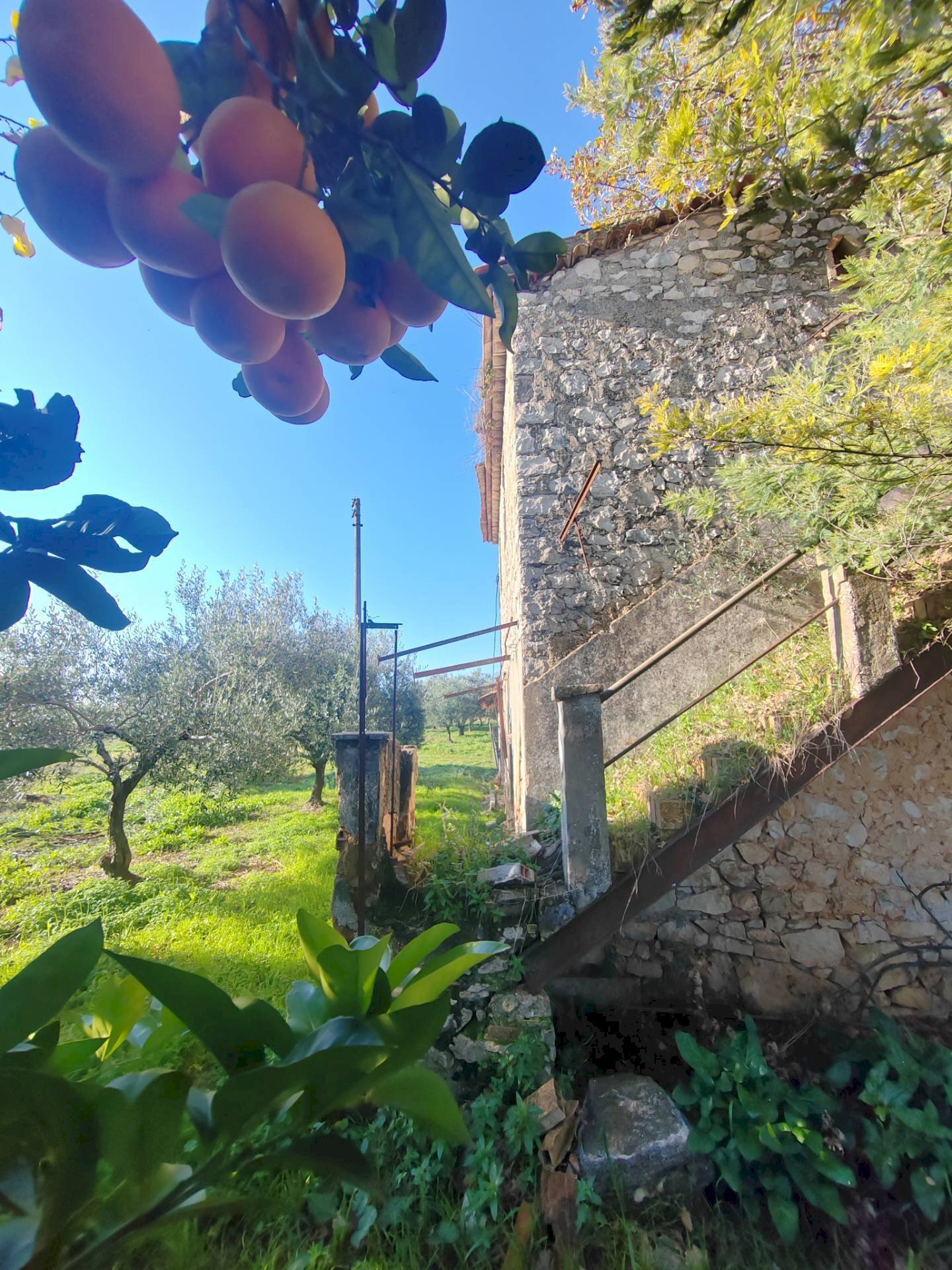 Foto 3 - Rustico Via Stradone Delle Grotte, Priverno - foto 3