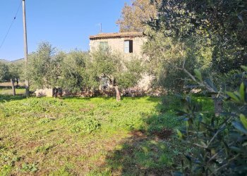 Foto 5 - Rustic Via Stradone Delle Grotte, Priverno - photo 5