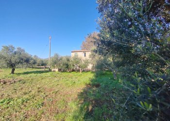 Foto 6 - Rustic Via Stradone Delle Grotte, Priverno - photo 6