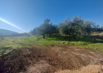 Foto 9 - Rustic Via Stradone Delle Grotte, Priverno - photo 9