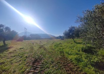 Foto 10 - Rustic Via Stradone Delle Grotte, Priverno - photo 10