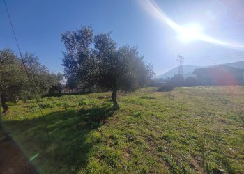 Foto 12 - Rustic Via Stradone Delle Grotte, Priverno - photo 12