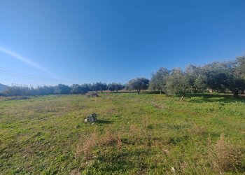 Foto 16 - Rustic Via Stradone Delle Grotte, Priverno - photo 16