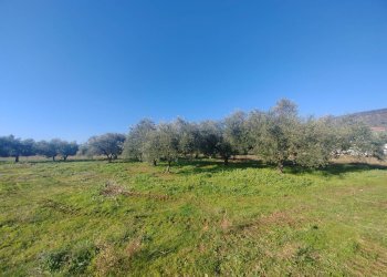 Foto 17 - Rustic Via Stradone Delle Grotte, Priverno - photo 17