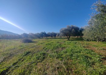 Foto 19 - Rustic Via Stradone Delle Grotte, Priverno - photo 19