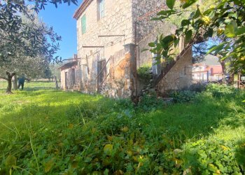 Foto 21 - Rustic Via Stradone Delle Grotte, Priverno - photo 21