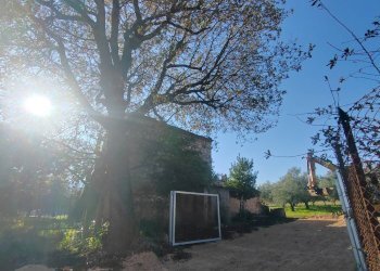 Foto 26 - Rustic Via Stradone Delle Grotte, Priverno - photo 26