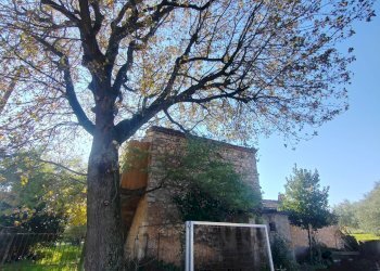 Foto 27 - Rustic Via Stradone Delle Grotte, Priverno - photo 27