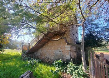 Foto 29 - Rustic Via Stradone Delle Grotte, Priverno - photo 29