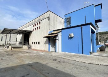 Foto 23 - Capannone via contrada morolo, Morolo - foto 23