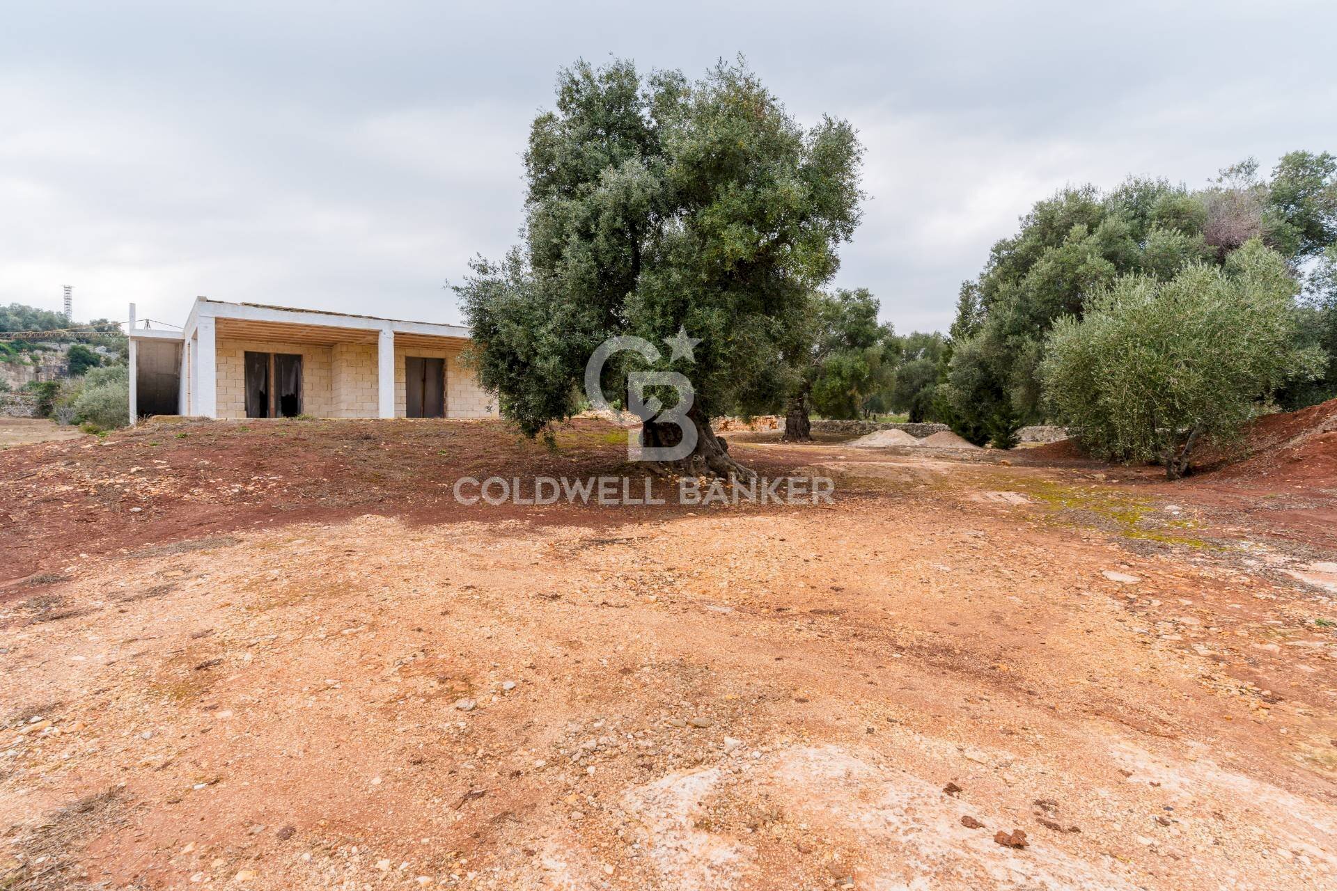 Foto 2 - Villa Contrada San Giovanni
 
Snc, Ostuni - photo 2