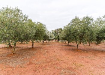 Foto 8 - Villa Contrada San Giovanni
 
Snc, Ostuni - foto 8