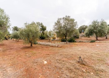 Foto 15 - Villa Contrada San Giovanni
 
Snc, Ostuni - foto 15