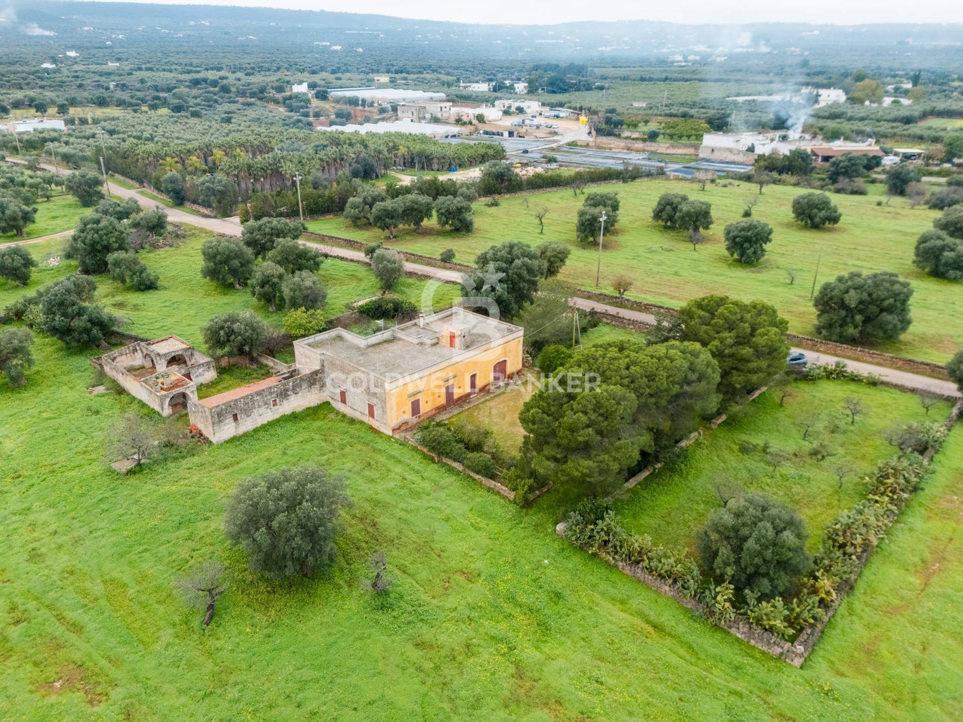 Foto 2 - Rustico Strada Contrada Cristo delle Zolle
 
215, Monopoli - foto 2