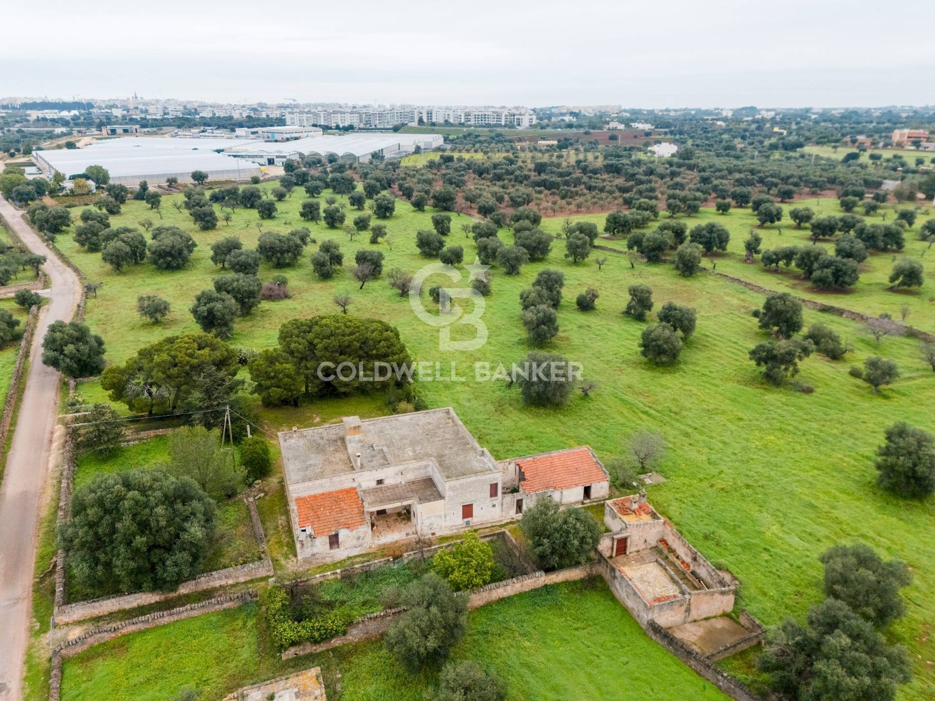 Foto 3 - Rustico Strada Contrada Cristo delle Zolle
 
215, Monopoli - foto 3