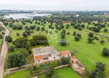 Foto 3 - Rustico Strada Contrada Cristo delle Zolle
 
215, Monopoli - foto 3