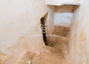 Foto 20 - Rustico Strada Contrada Cristo delle Zolle
 
215, Monopoli - foto 20