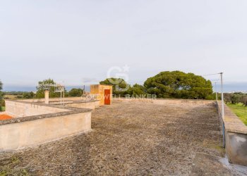 Foto 24 - Rustico Strada Contrada Cristo delle Zolle
 
215, Monopoli - foto 24