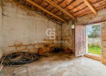 Foto 26 - Rustico Strada Contrada Cristo delle Zolle
 
215, Monopoli - foto 26