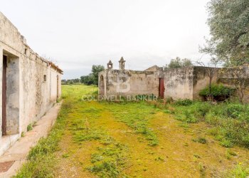 Foto 28 - Rustico Strada Contrada Cristo delle Zolle
 
215, Monopoli - foto 28