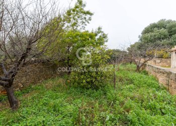 Foto 33 - Rustico Strada Contrada Cristo delle Zolle
 
215, Monopoli - foto 33