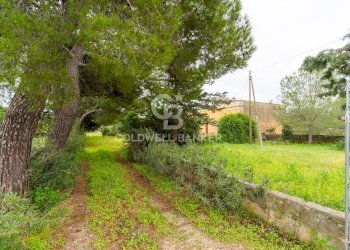 Foto 36 - Rustico Strada Contrada Cristo delle Zolle
 
215, Monopoli - foto 36