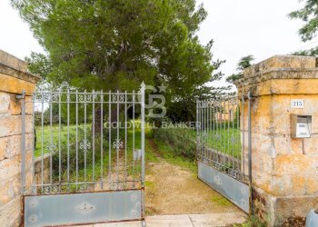 Foto 37 - Rustico Strada Contrada Cristo delle Zolle
 
215, Monopoli - foto 37