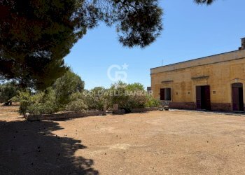 Foto 40 - Rustico Strada Contrada Cristo delle Zolle
 
215, Monopoli - foto 40