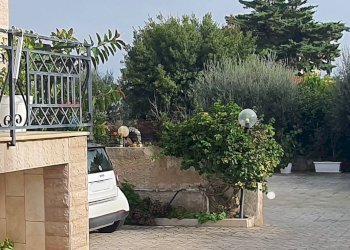 Edificio all\'aperto - Trilocale Via Umberto I Traversa 270
 
6, Bari - foto 20