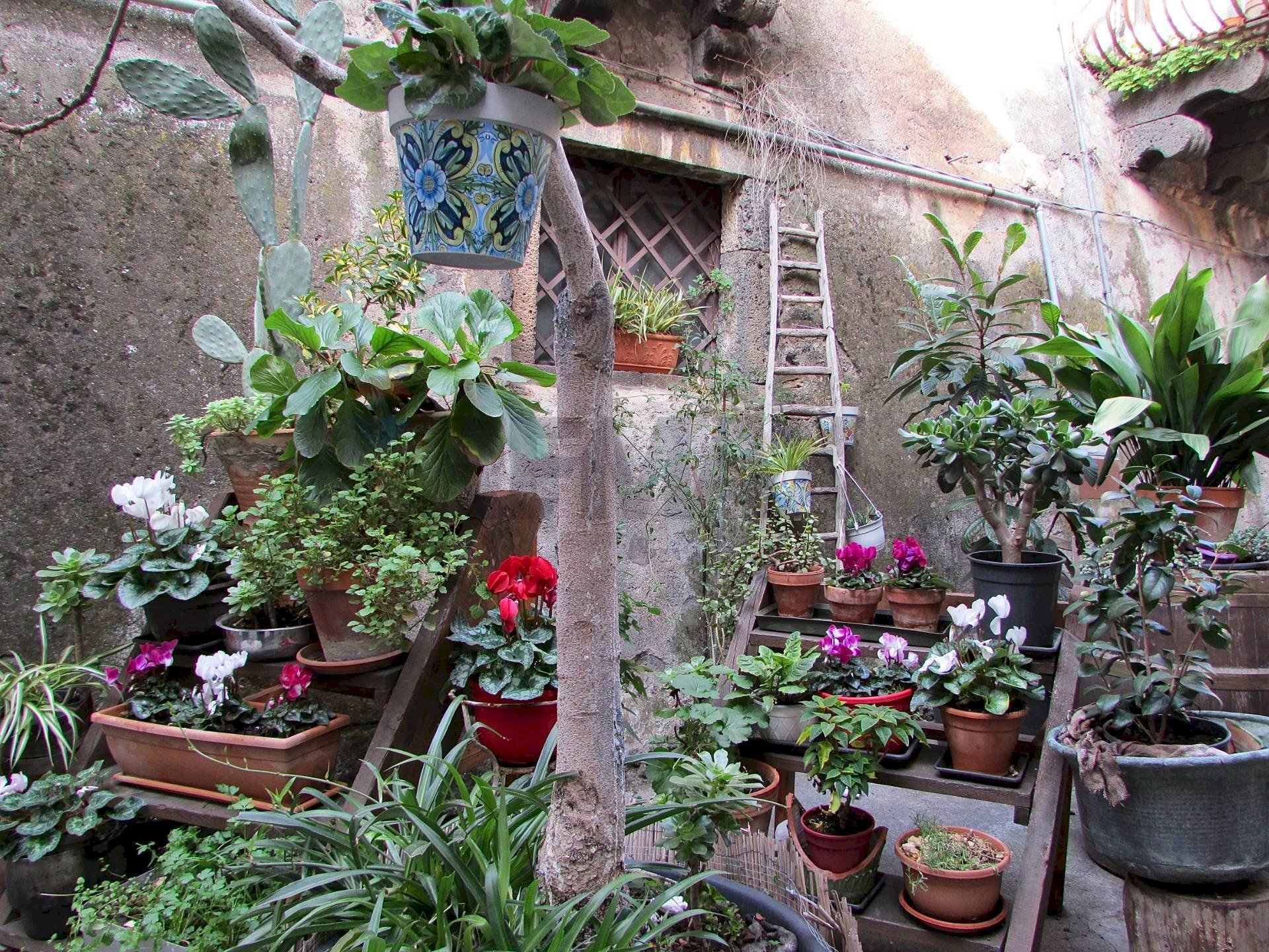Giardino - Independent house corso umberto
 
17, Bronte - photo 2