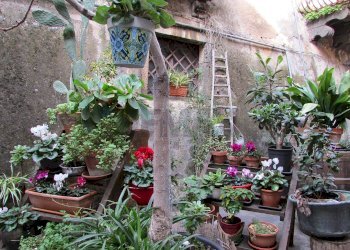 Giardino - Villa corso umberto
 
17, Bronte - foto 1