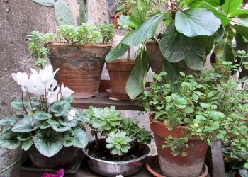 Dettagli - Villa corso umberto
 
17, Bronte - foto 41