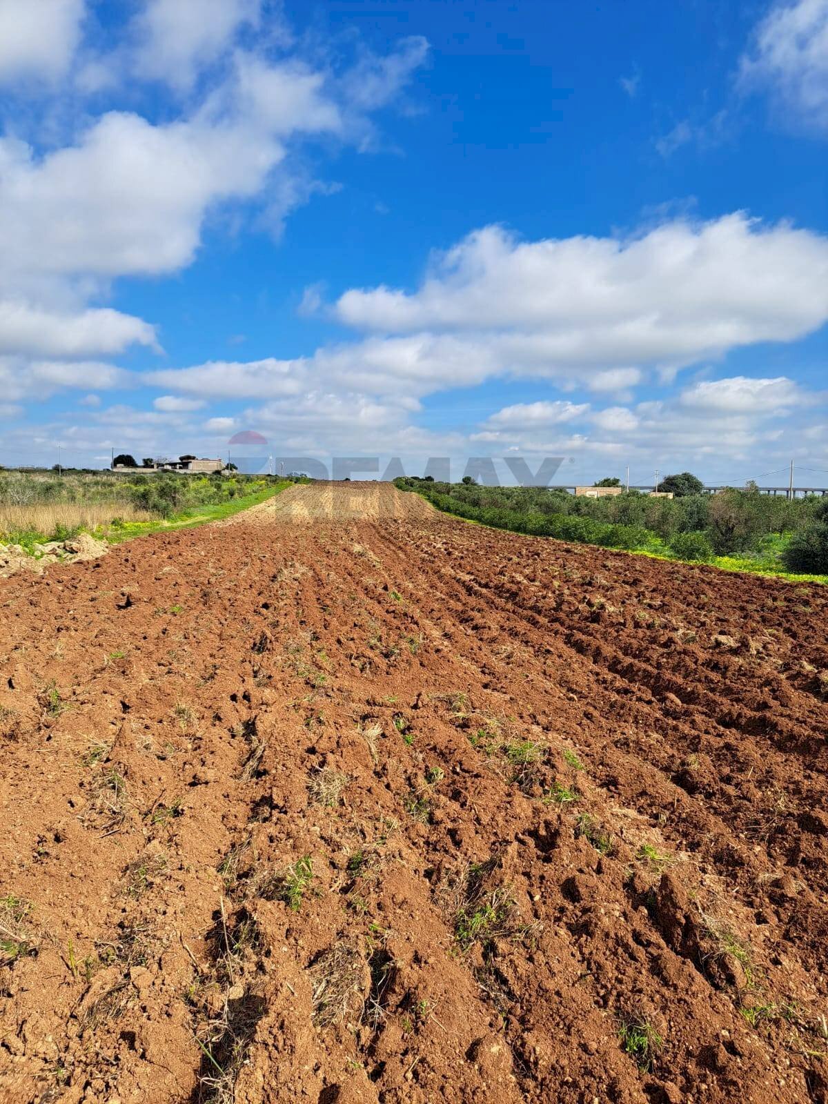 Vista delle montagne - Terreno agricolo contrada Laciletto
 
snc, Mazara del Vallo - foto 1