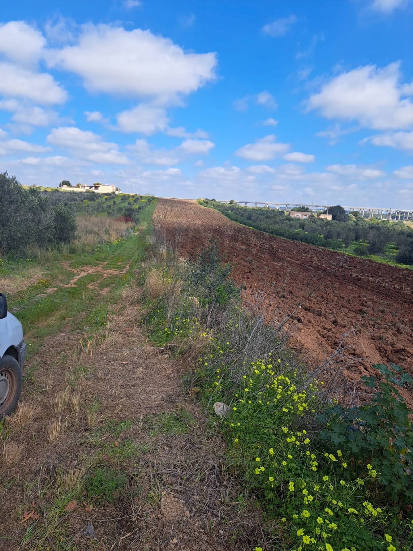 Vista delle montagne - Terreno agricolo contrada Laciletto
 
snc, Mazara del Vallo - foto 2