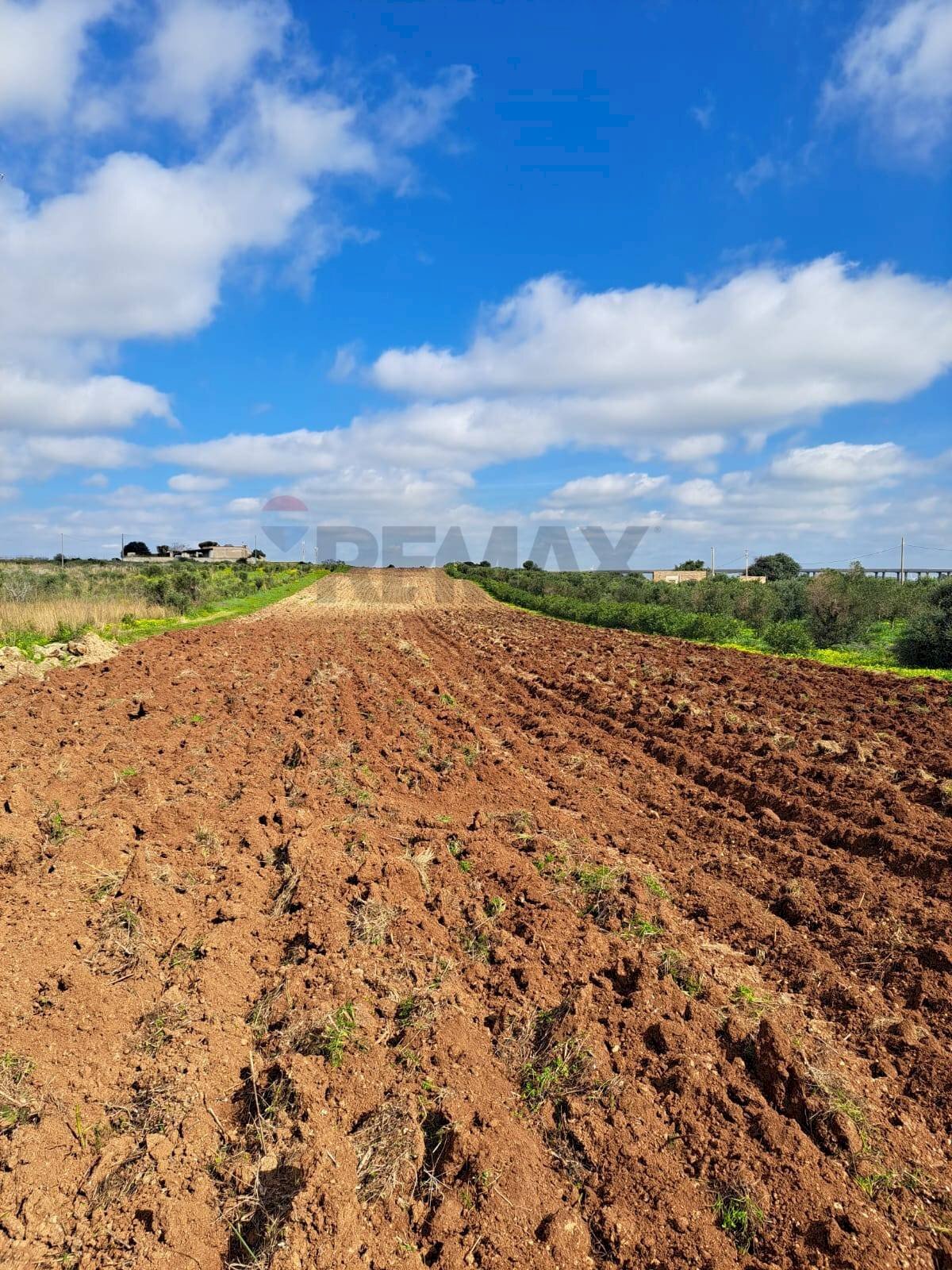 Vista delle montagne - Terreno agricolo contrada Laciletto
 
snc, Mazara del Vallo - foto 3