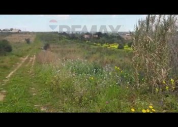Non correlato - Terreno agricolo contrada Laciletto
 
snc, Mazara del Vallo - foto 6