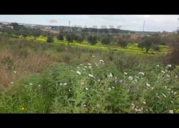 Dettagli - Terreno agricolo contrada Laciletto
 
snc, Mazara del Vallo - foto 8