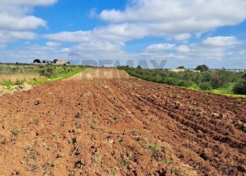 Vista delle montagne - Terreno agricolo contrada Laciletto
snc, Mazara del Vallo - foto 1