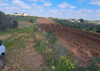 Vista delle montagne - Terreno agricolo contrada Laciletto
snc, Mazara del Vallo - foto 2
