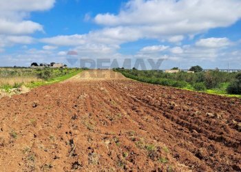 Vista delle montagne - Terreno agricolo contrada Laciletto
snc, Mazara del Vallo - foto 3
