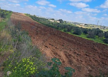 Vista delle montagne - Terreno agricolo contrada Laciletto
snc, Mazara del Vallo - foto 5