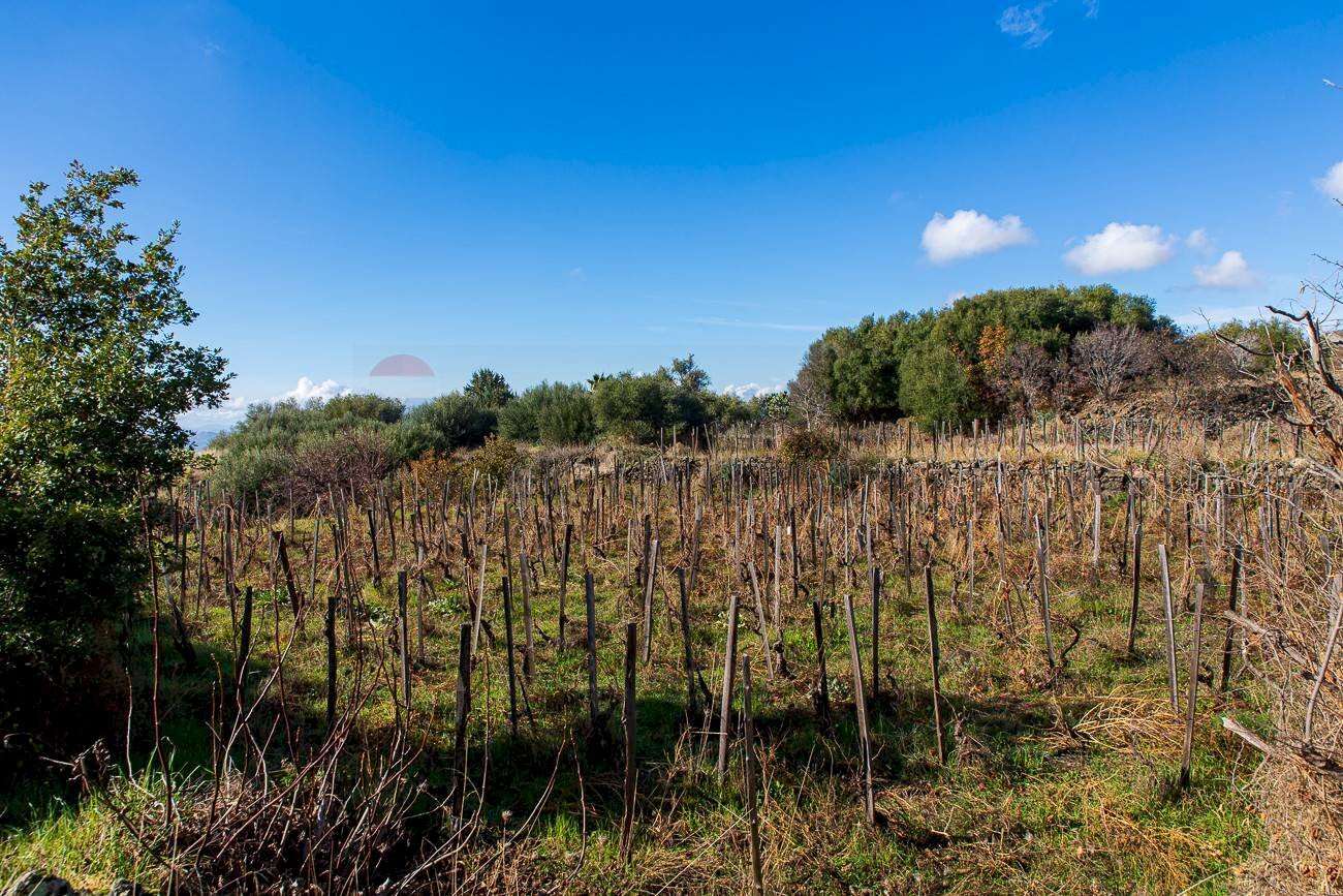 Vista delle montagne - Agricultural land Contrada Guardia Majo
 
snc, Biancavilla - photo 1
