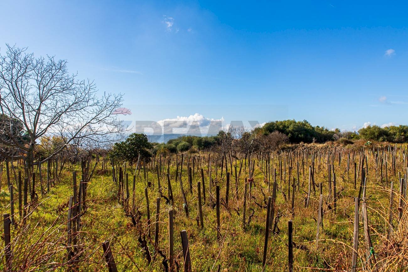 Vista delle montagne - Agricultural land Contrada Guardia Majo
 
snc, Biancavilla - photo 2