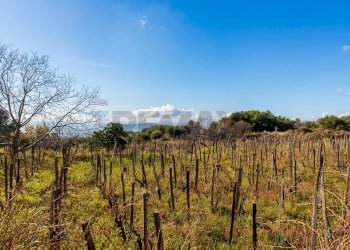 Vista delle montagne - Terreno agricolo Contrada Guardia Majo
 
snc, Biancavilla - foto 2